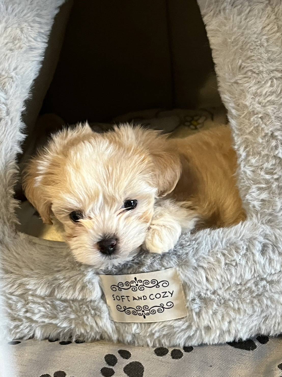 <br />
<b>Warning</b>:  Undefined array key 