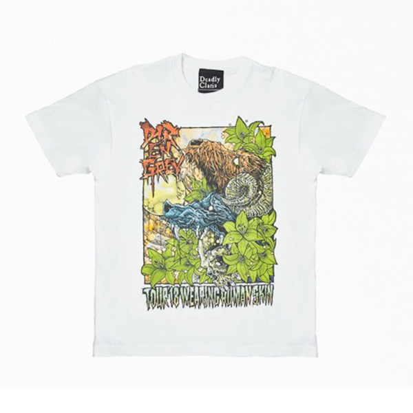 <br />
<b>Warning</b>:  Undefined array key 